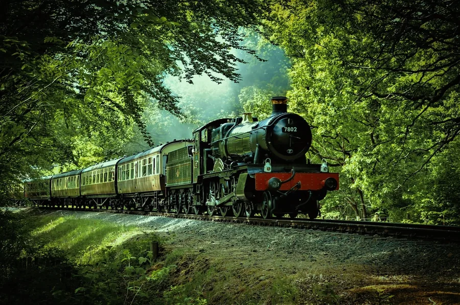 A classic passenger train winding through a lush green forest on a scenic rail journey
